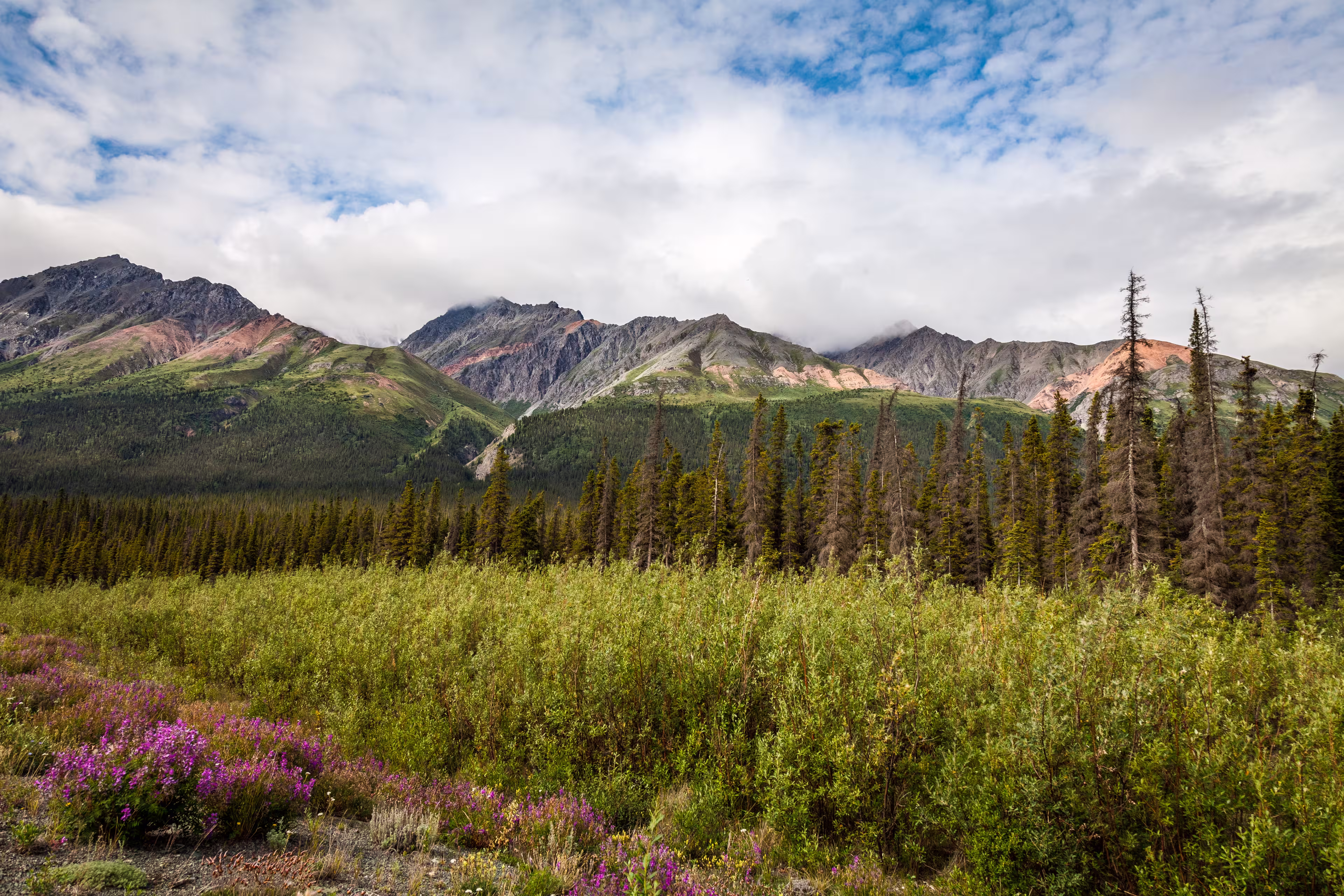 North of Haines Junction heading towards Kluane Lake- Yukon Territory- Canada This section of the Alaska Highway is spectacular: mountains to the west, Kluane Lake to the east.