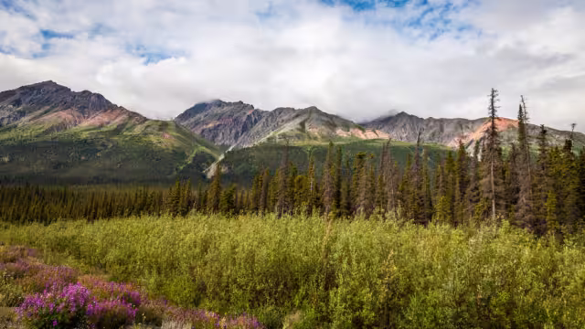North of Haines Junction heading towards Kluane Lake- Yukon Territory- Canada This section of the Alaska Highway is spectacular: mountains to the west, Kluane Lake to the east.