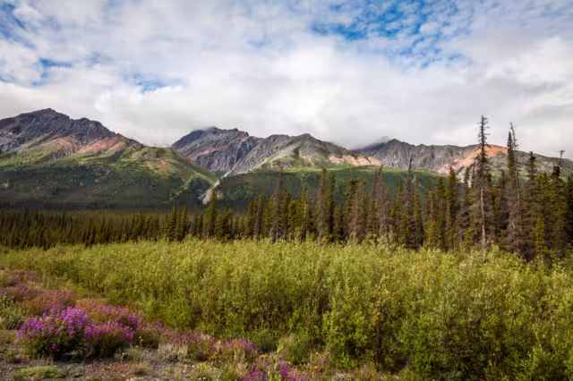 North of Haines Junction heading towards Kluane Lake- Yukon Territory- Canada This section of the Alaska Highway is spectacular: mountains to the west, Kluane Lake to the east.