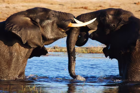 Vic Falls to Cape Town - 1