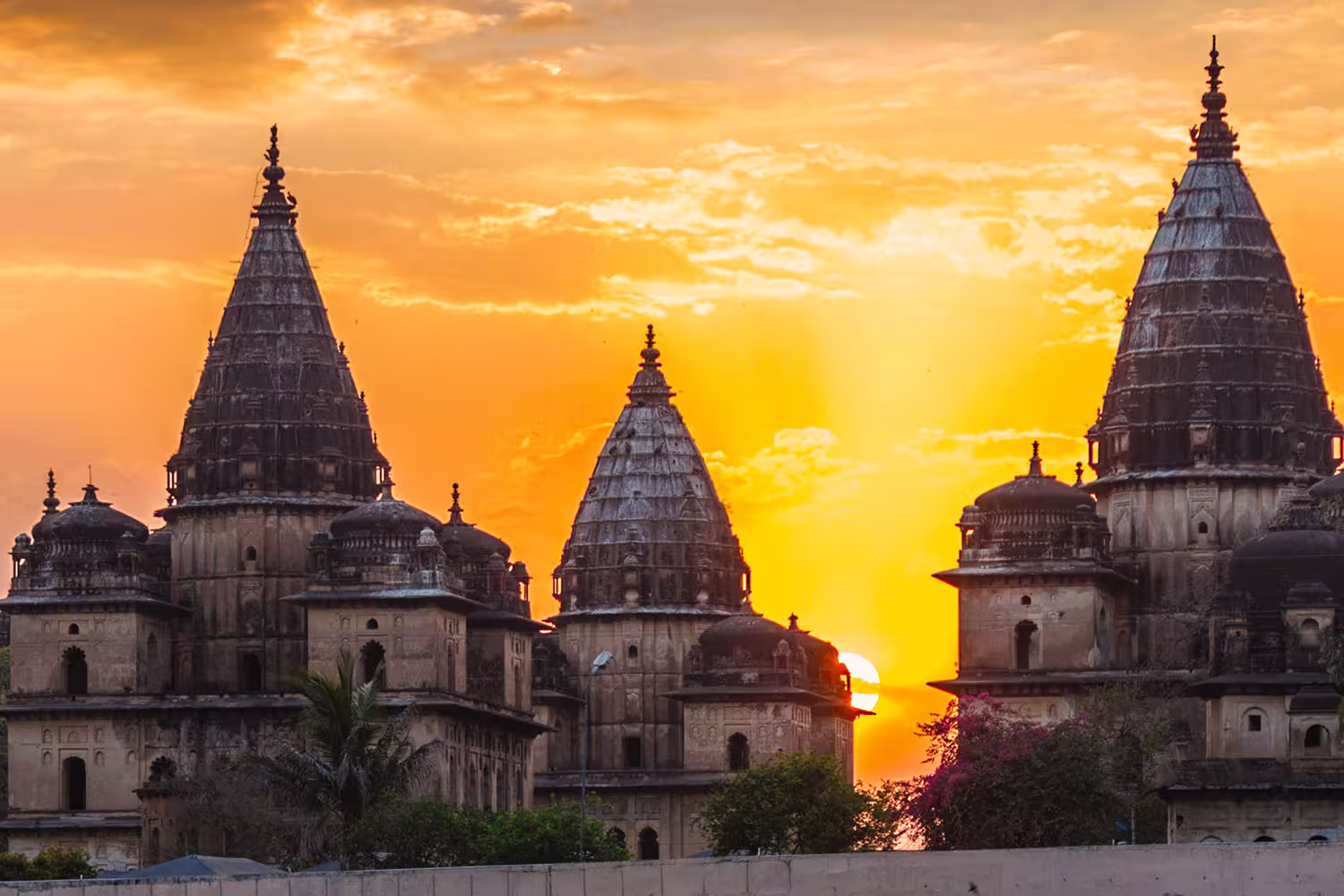 India Orchha