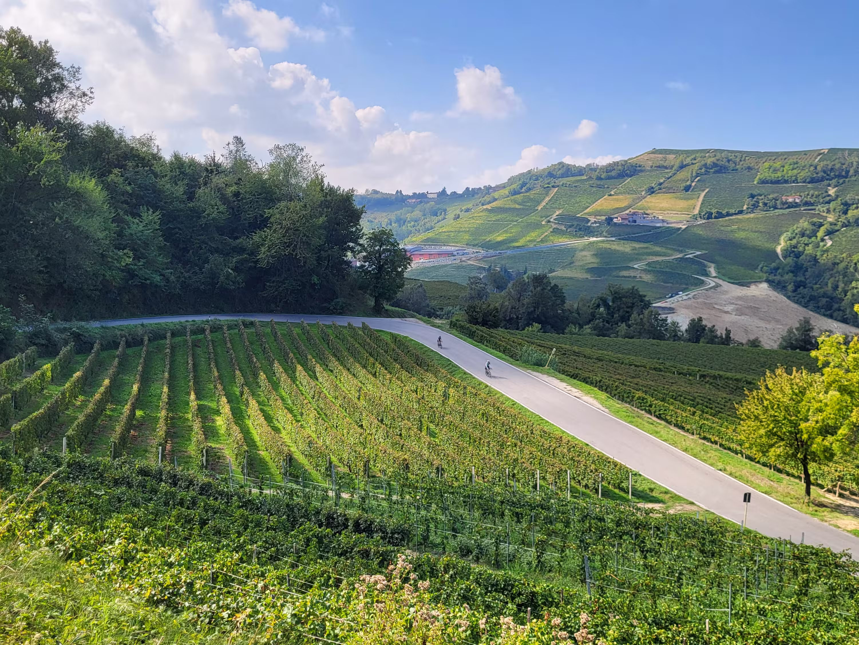 Piemont per Rad – Genuss, Wein & Hügellandschaften