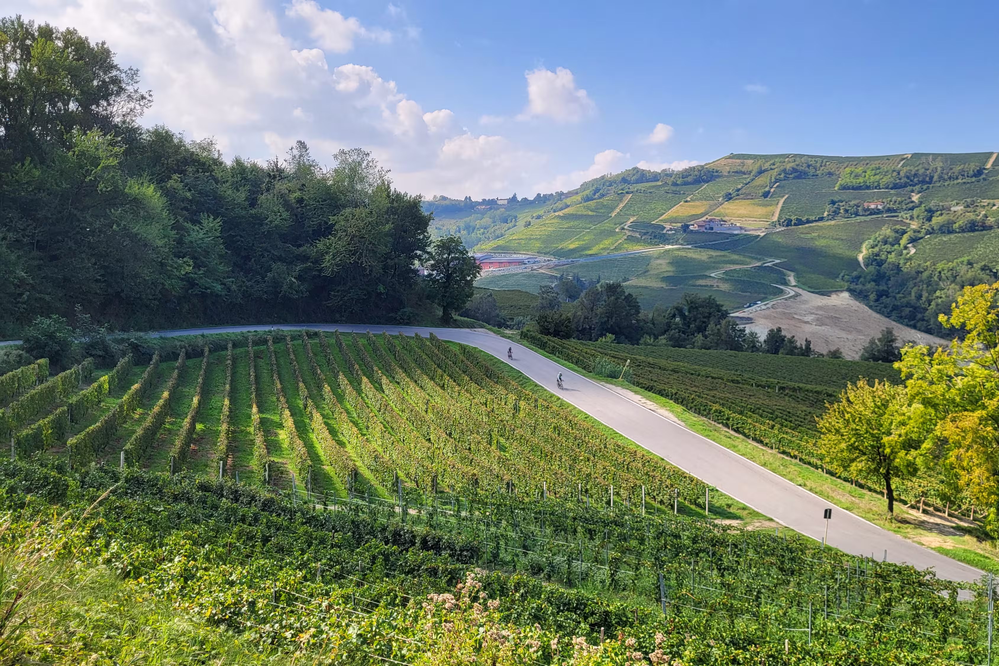 Piemont per Rad – Genuss, Wein & Hügellandschaften