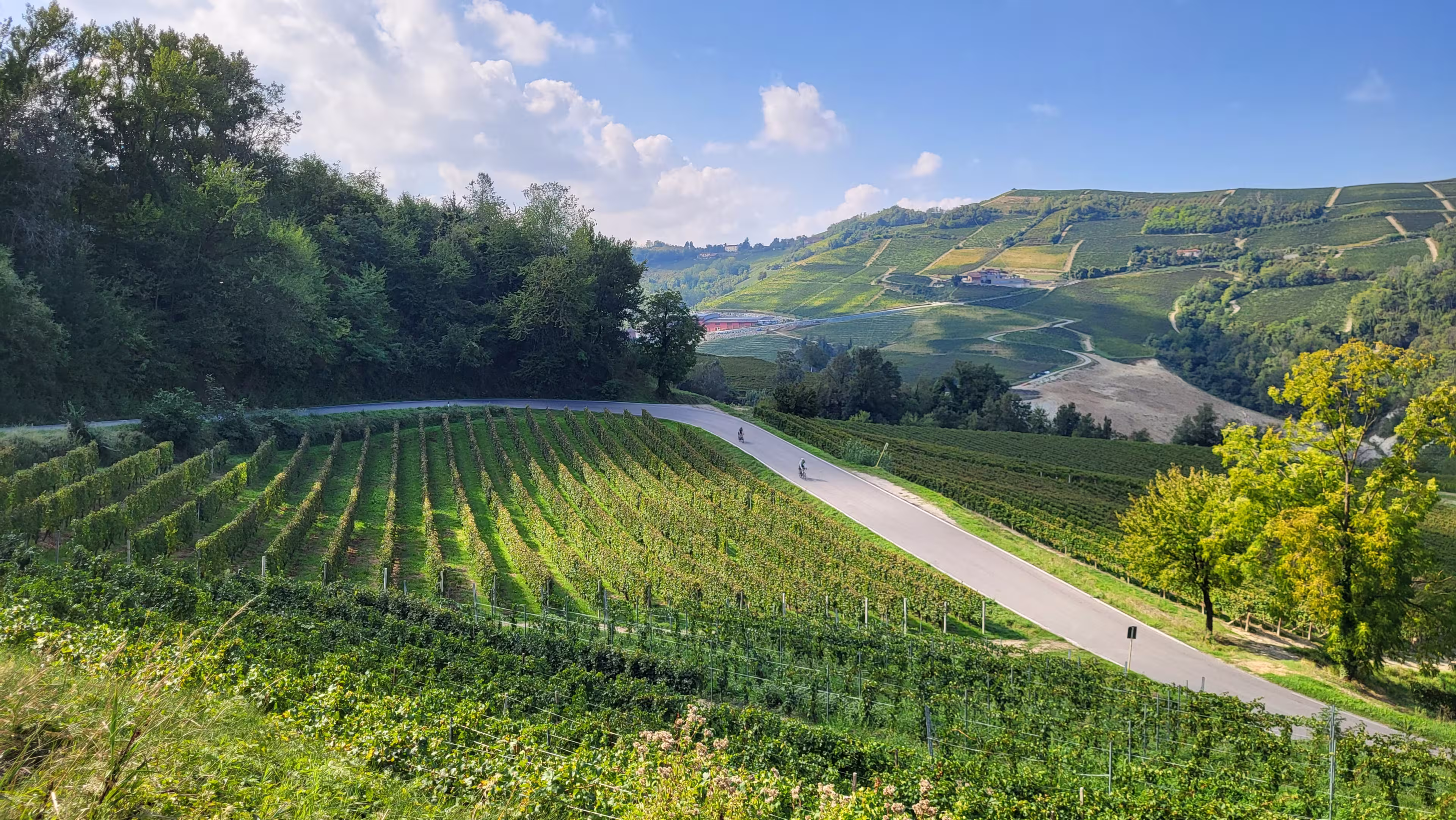 Piemont per Rad – Genuss, Wein & Hügellandschaften