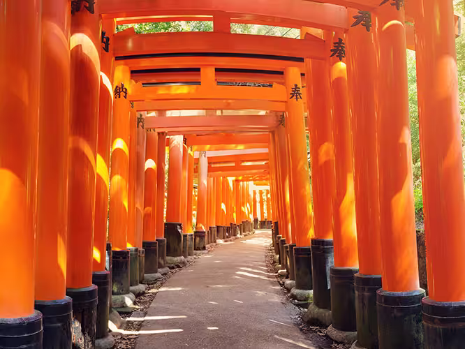 Red torii gates of Fushimi Inari, Kyoto, Japan