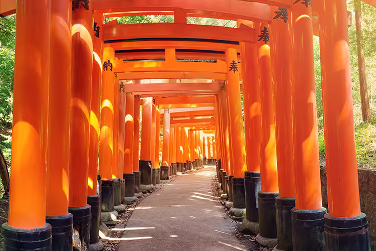 Red torii gates of Fushimi Inari, Kyoto, Japan