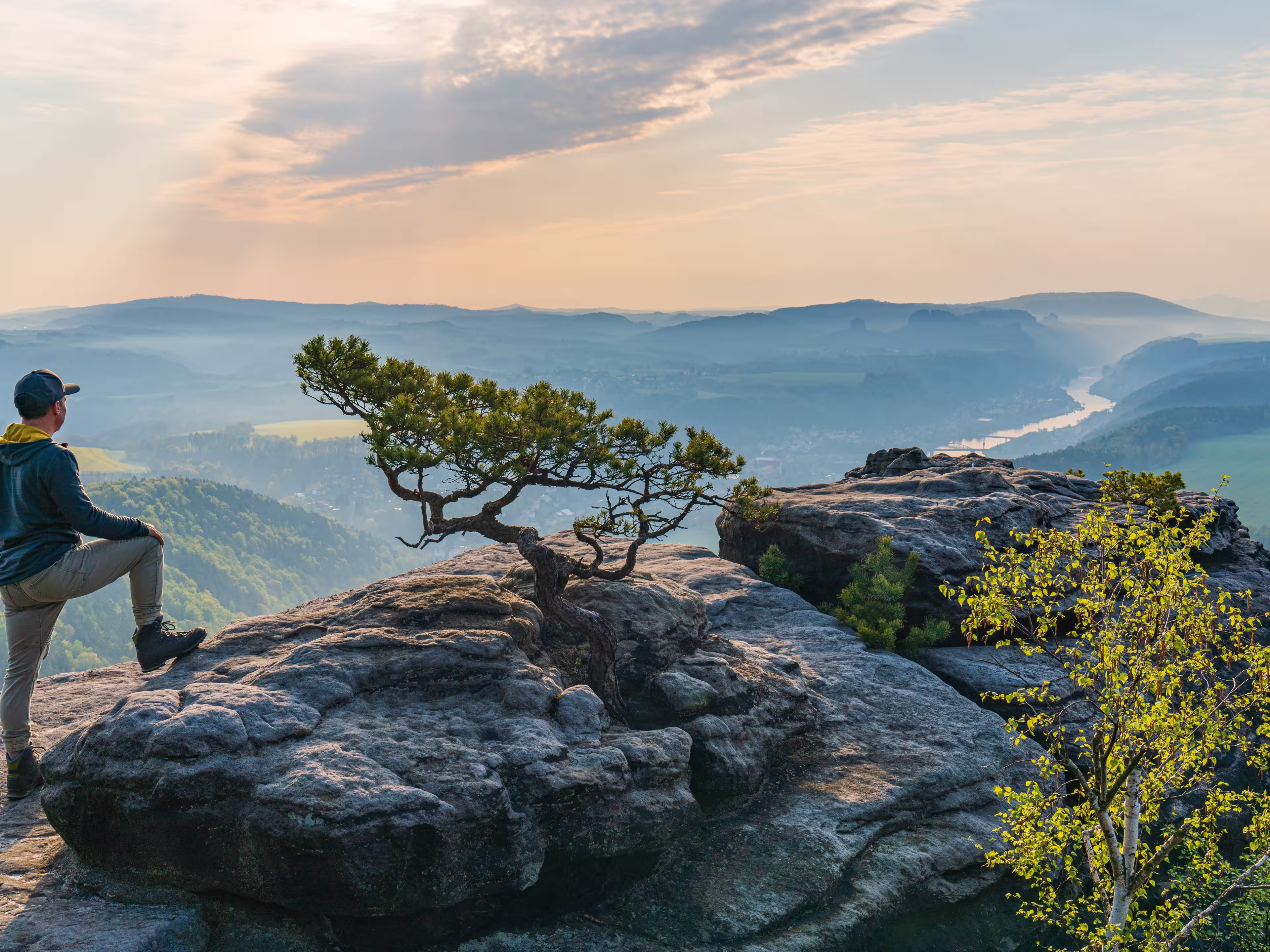 Man enjoying an early misty morning in  mountains. Sunrise in  national park in Saxon Switzerland. Elbe River, rock formation, crooked small pine tree.  Germany. Travel, adventure, active lifestyle