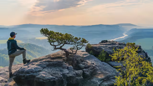 Man enjoying an early misty morning in mountains. Sunrise in national park in Saxon Switzerland. Elbe River, rock formation, crooked small pine tree. Germany. Travel, adventure, active lifestyle
