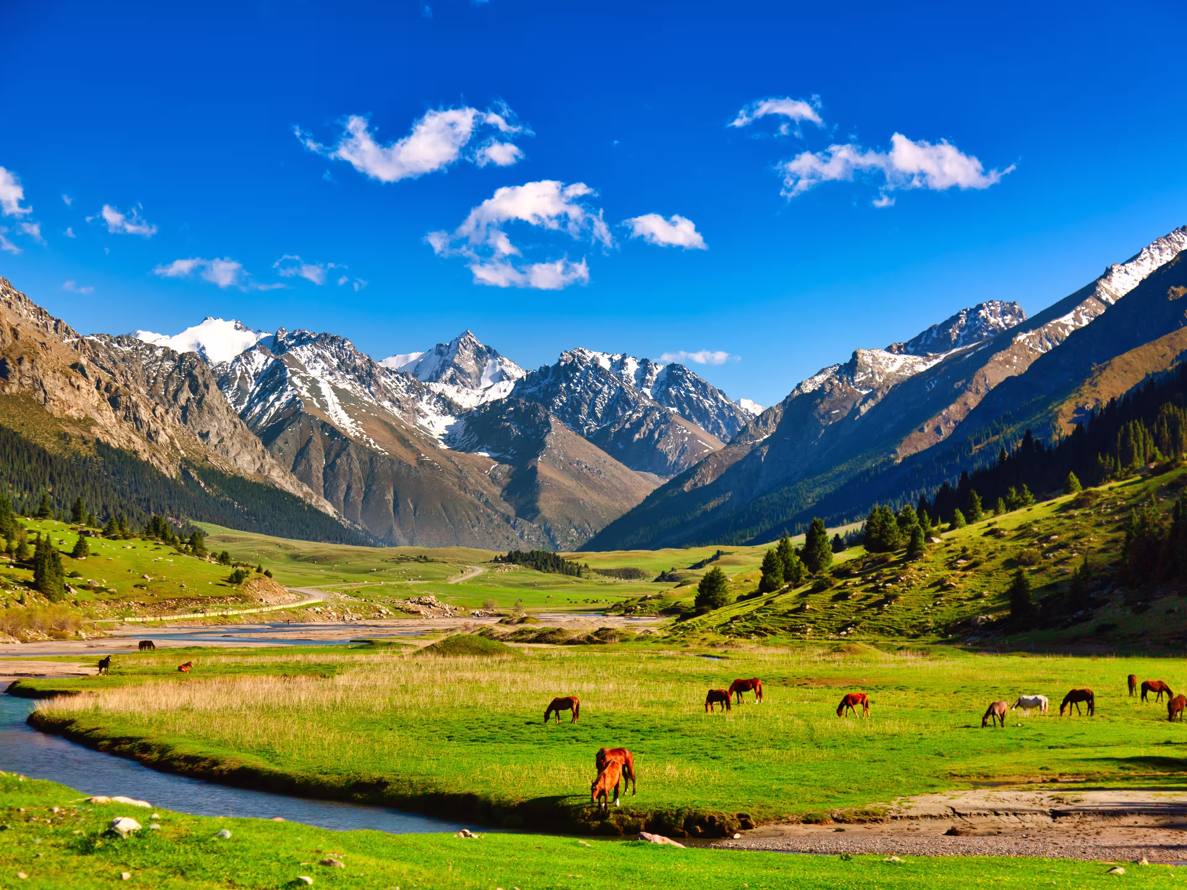 Kyrgyzstan nature landscape. Beautiful green alpine meadows with horses and river against Tien-Shan mountains in Kyrgyzstan