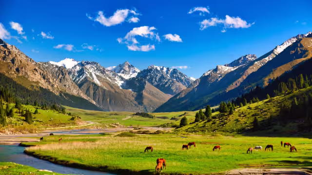 Kyrgyzstan nature landscape. Beautiful green alpine meadows with horses and river against Tien-Shan mountains in Kyrgyzstan