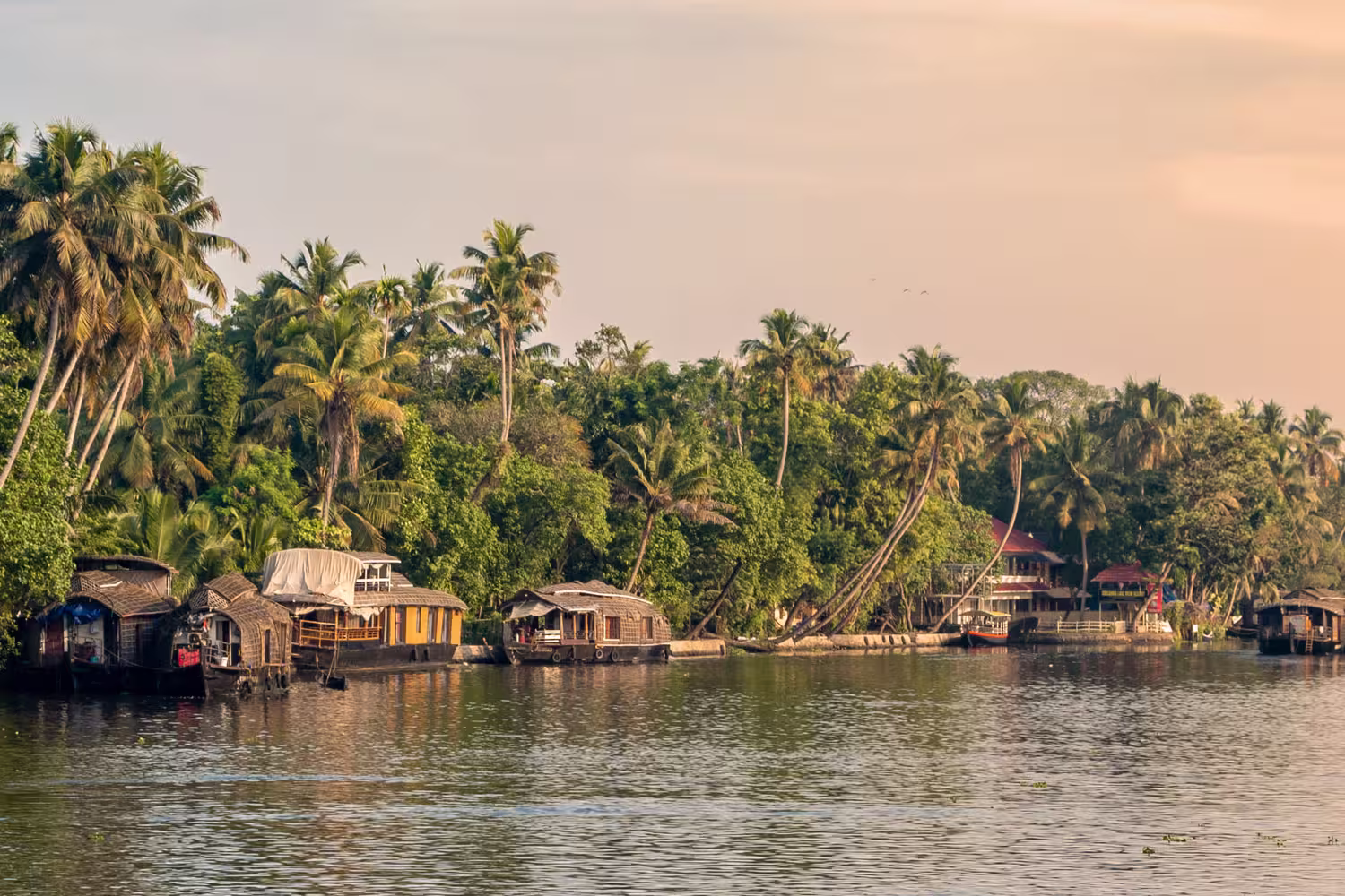 Kerala backwaters houseboats