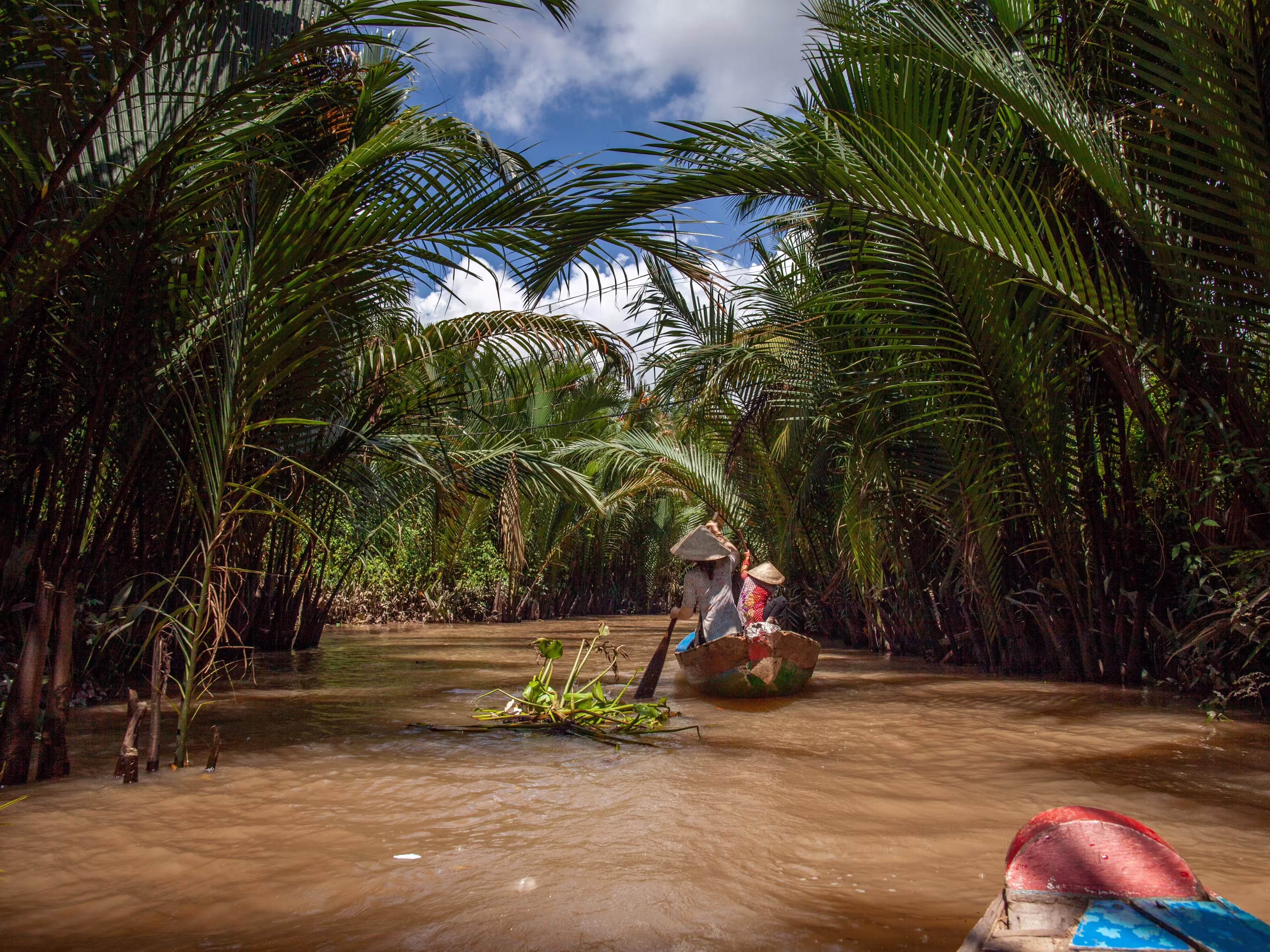 boat tour for tourists in mekong delta near Ho Chi Minh City, Saigon, Vietnam