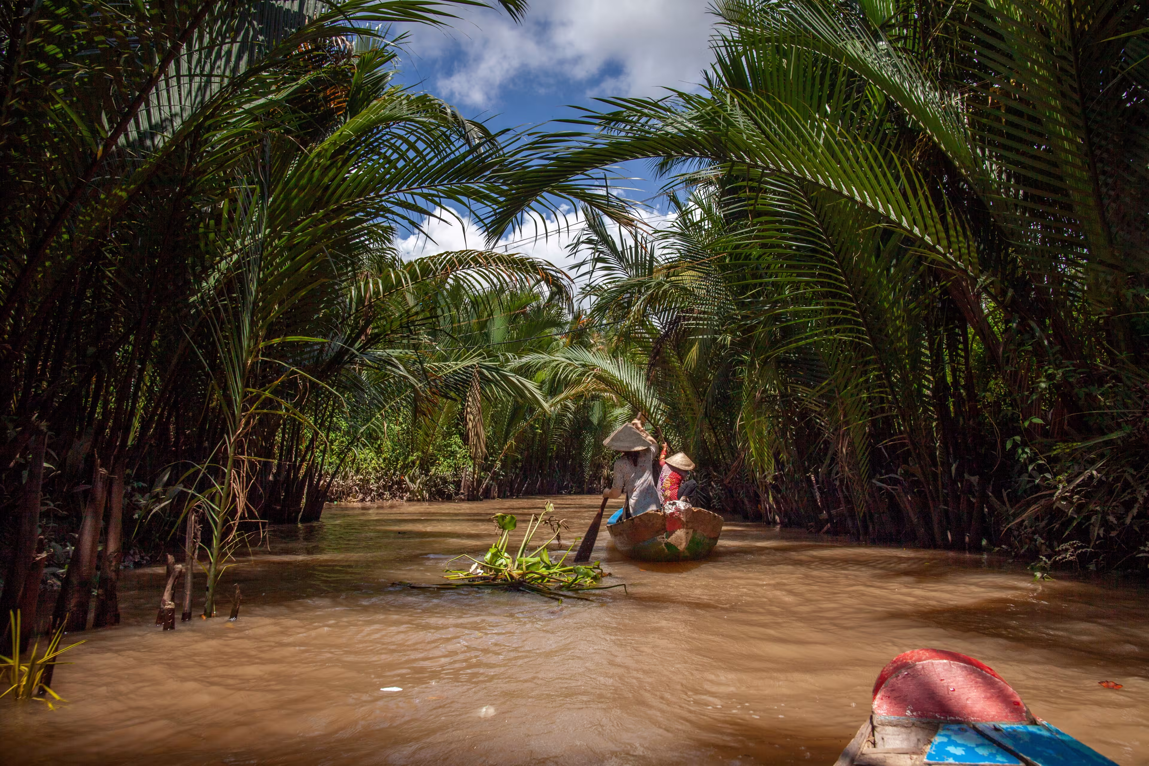 boat tour for tourists in mekong delta near Ho Chi Minh City, Saigon, Vietnam