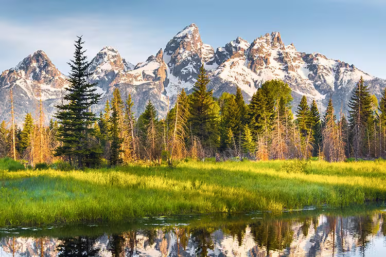 Yellowstone and Grand Tetons Adventure - 1