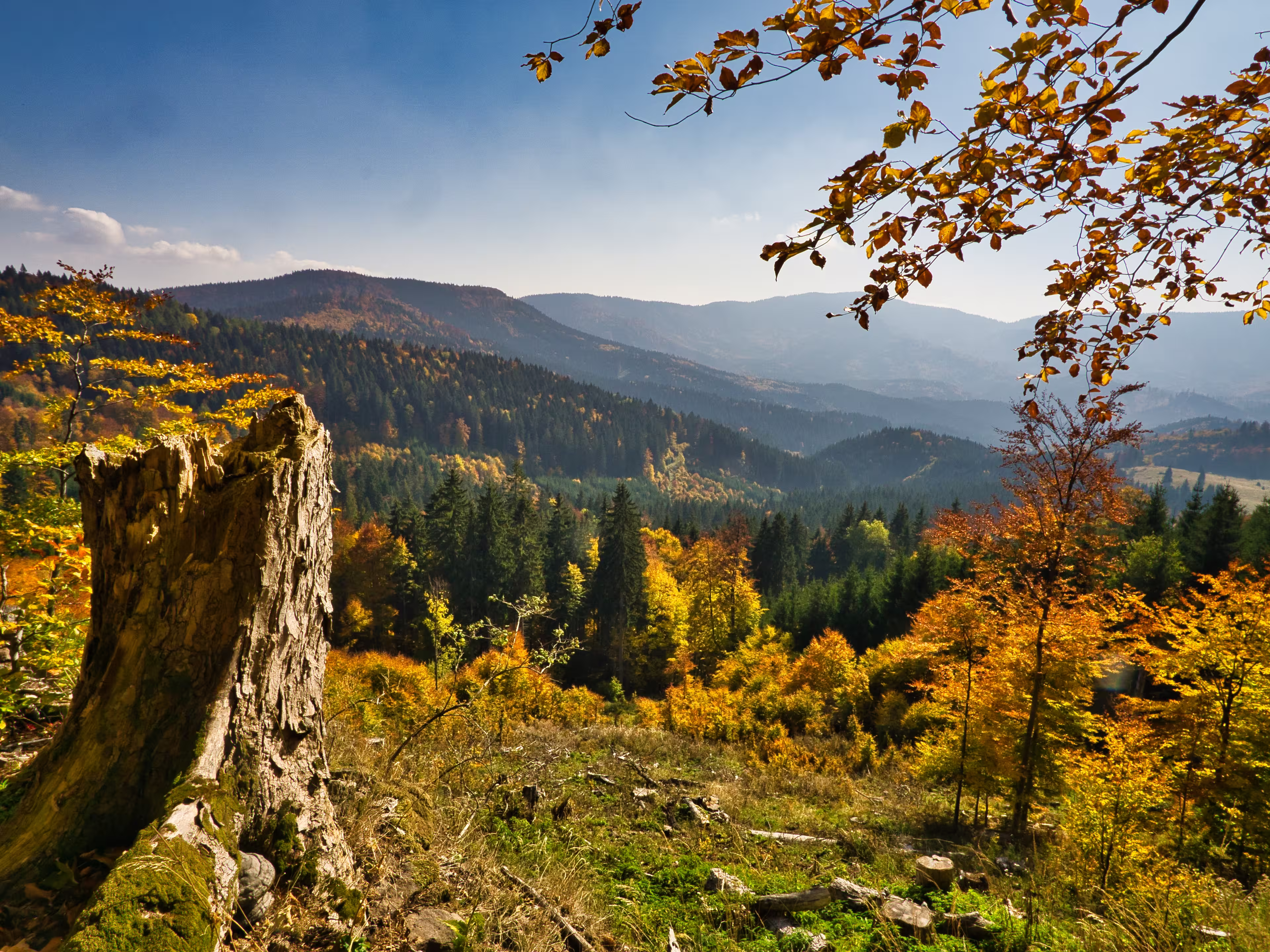 Wanderwoche durch das Reich der Bären