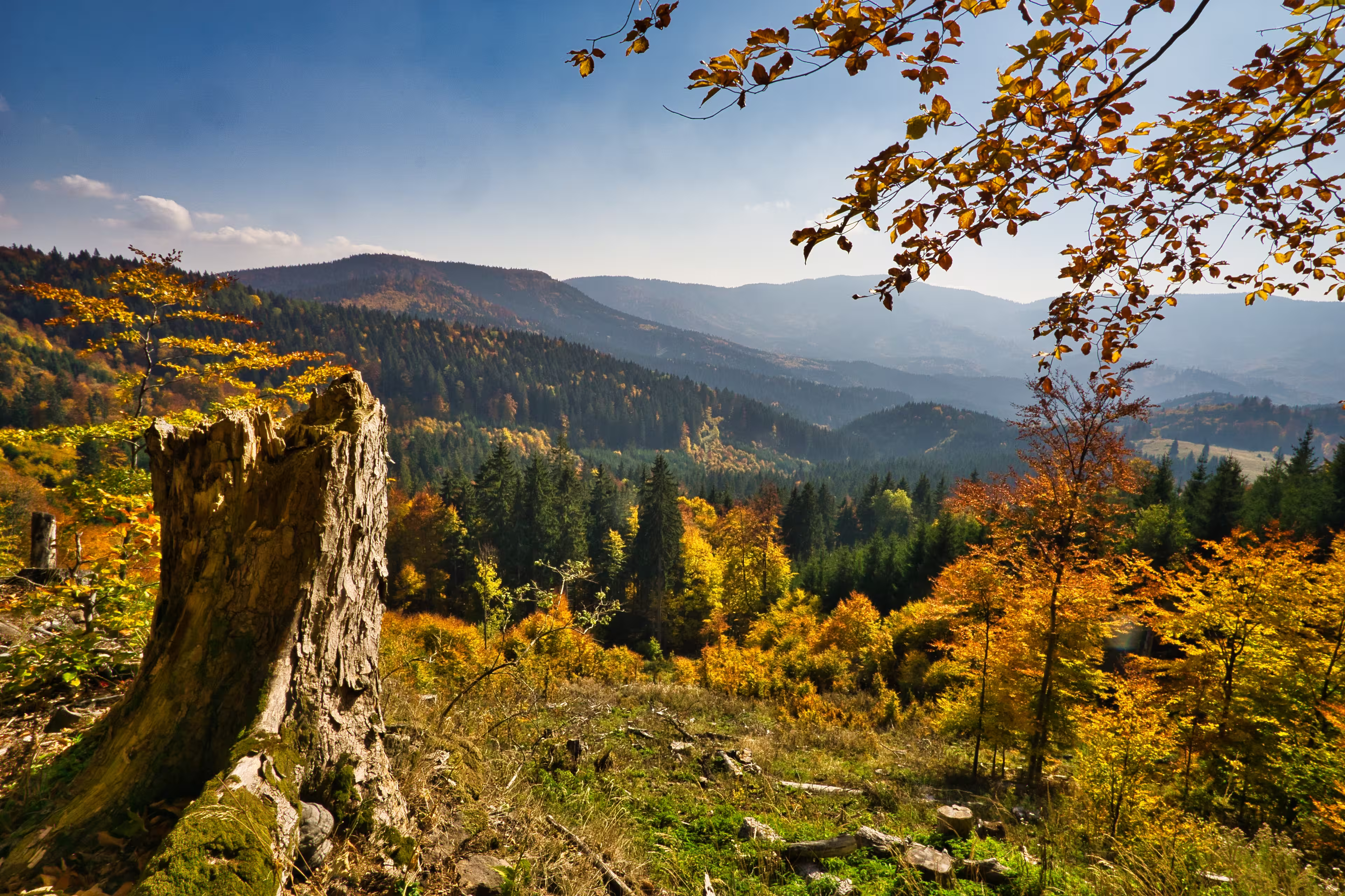 Wanderwoche durch das Reich der Bären