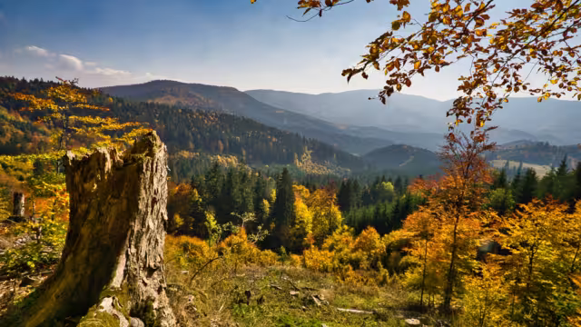 Wanderwoche durch das Reich der Bären