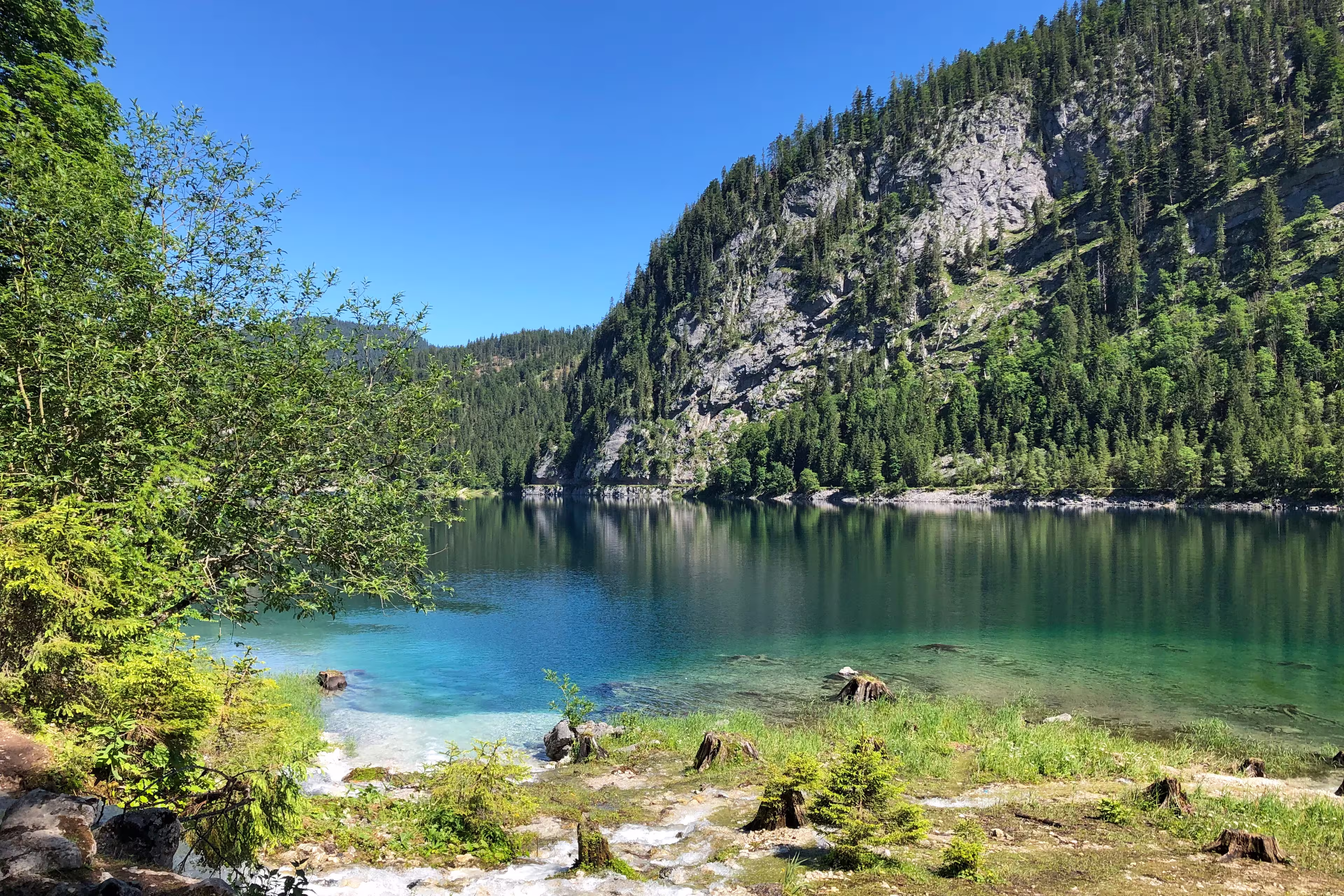 Salzkammergut Gosausee Ufer