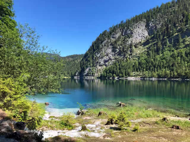 Salzkammergut Gosausee Ufer