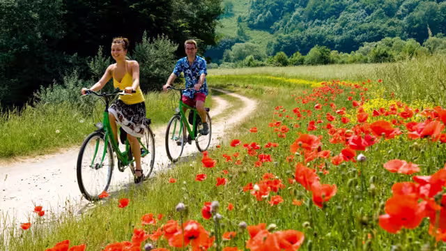 Zwei Radfahrer am Mainradweg