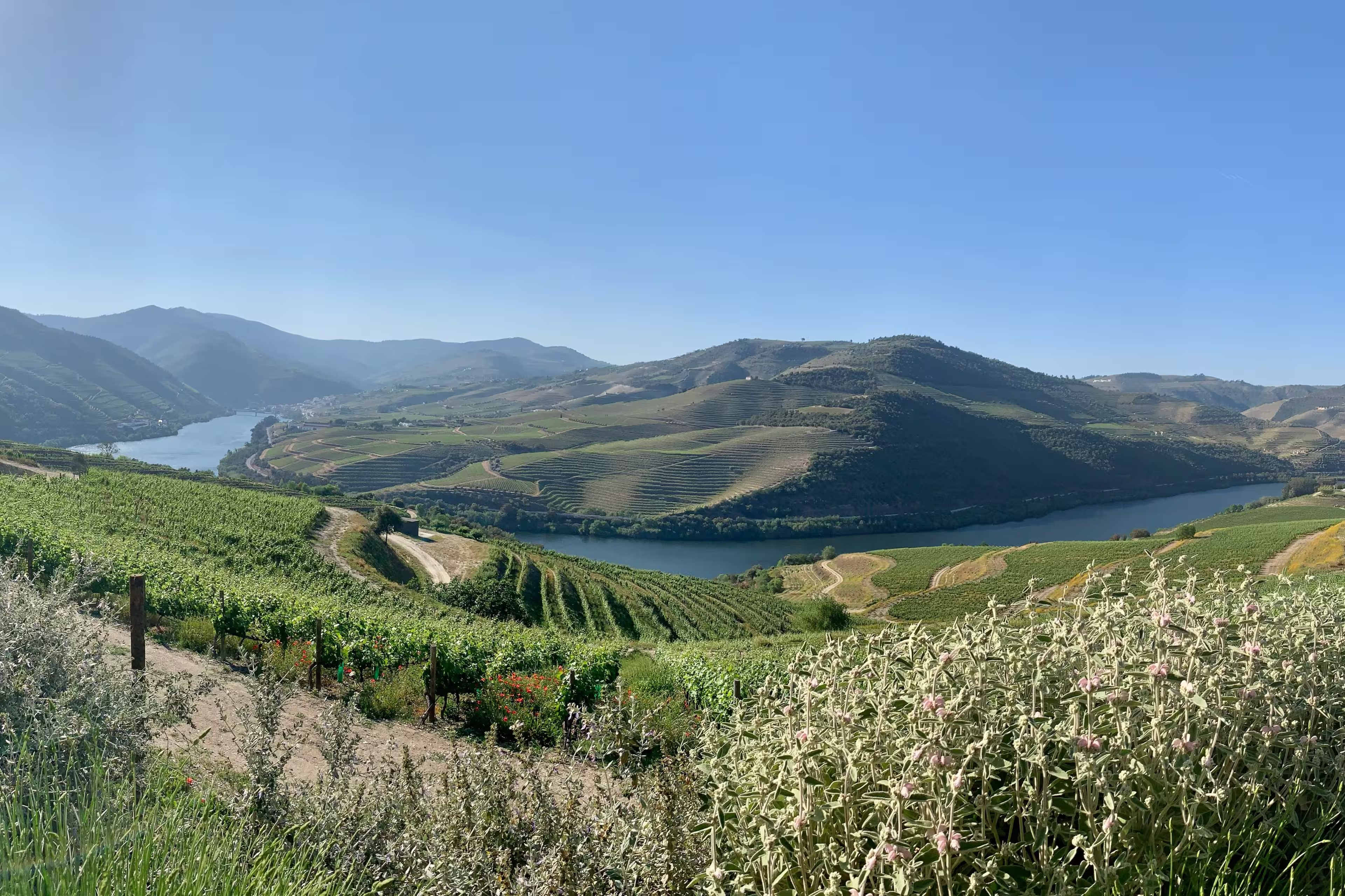 Douro Rennrad-Challenge