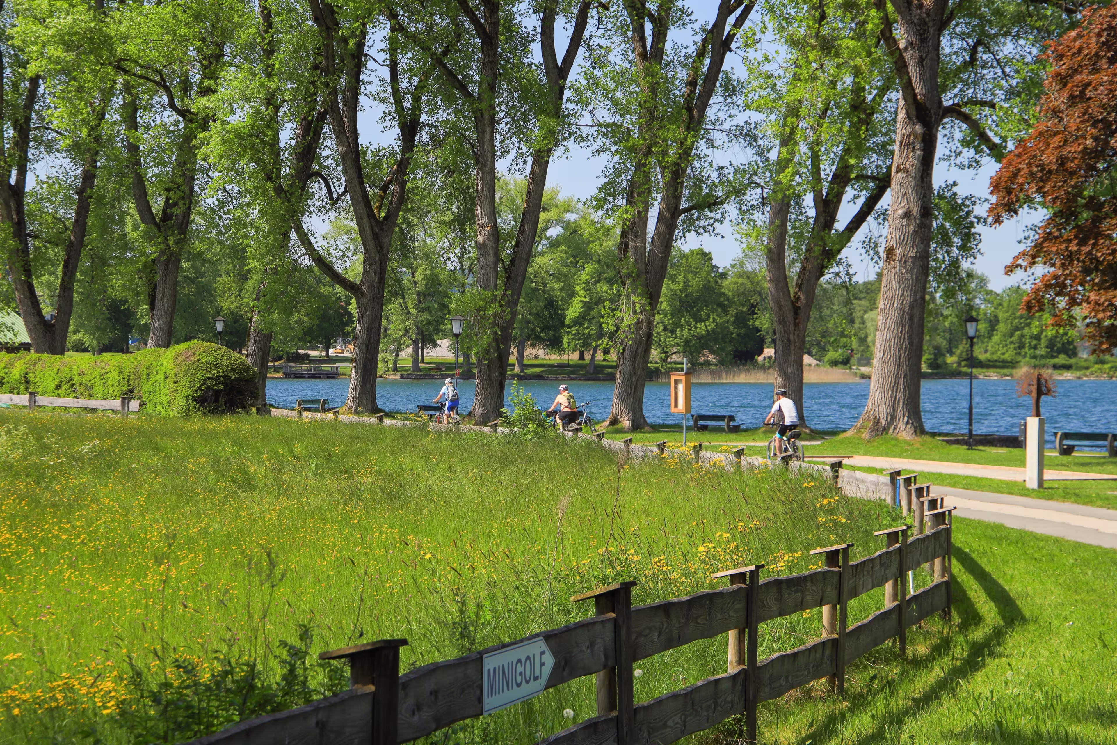 Cycling at promenade Tegernsee in Bad Wiessee, Bavaria - Germany