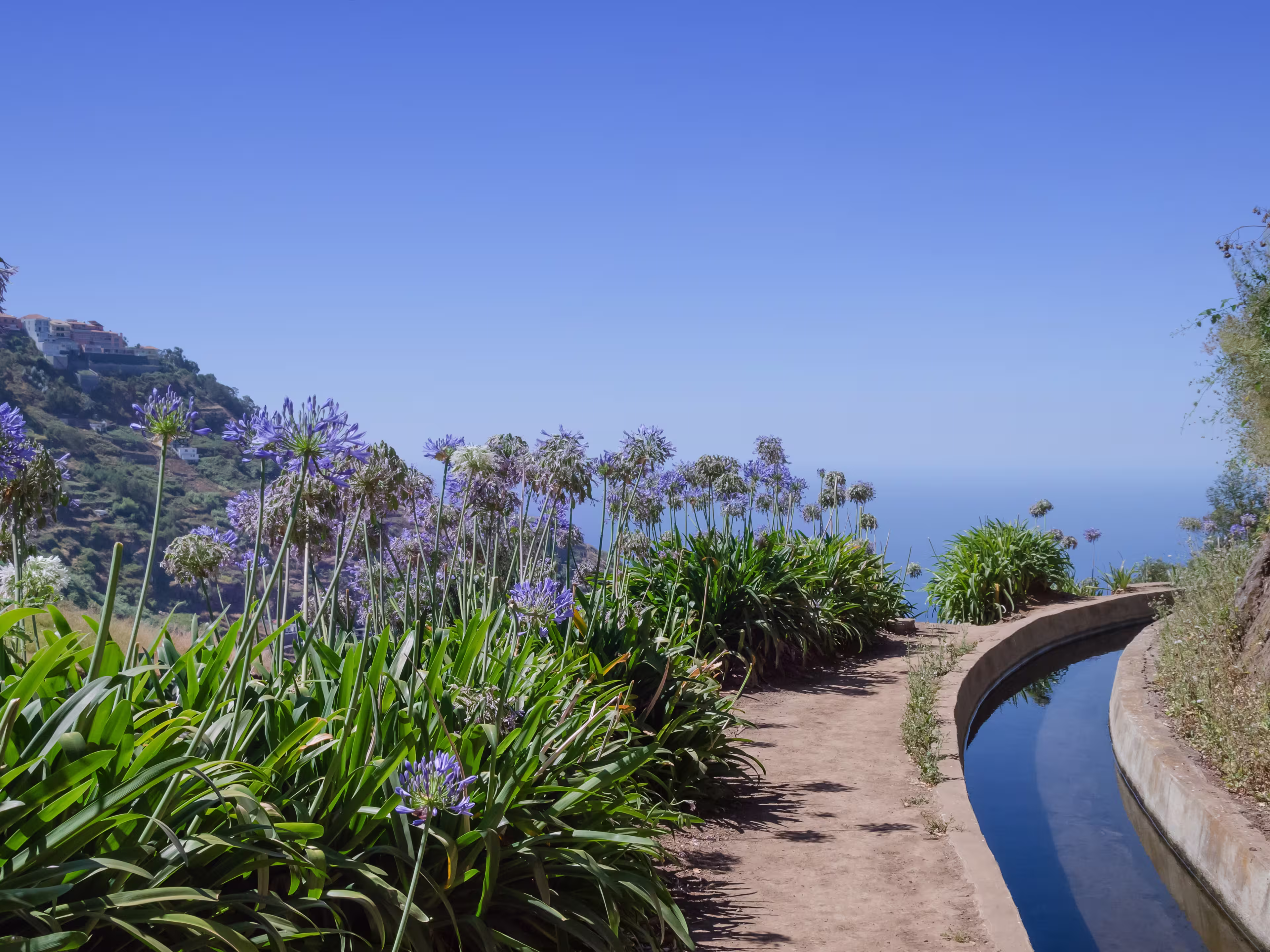 Blumenbestandene Levada auf Madeira
