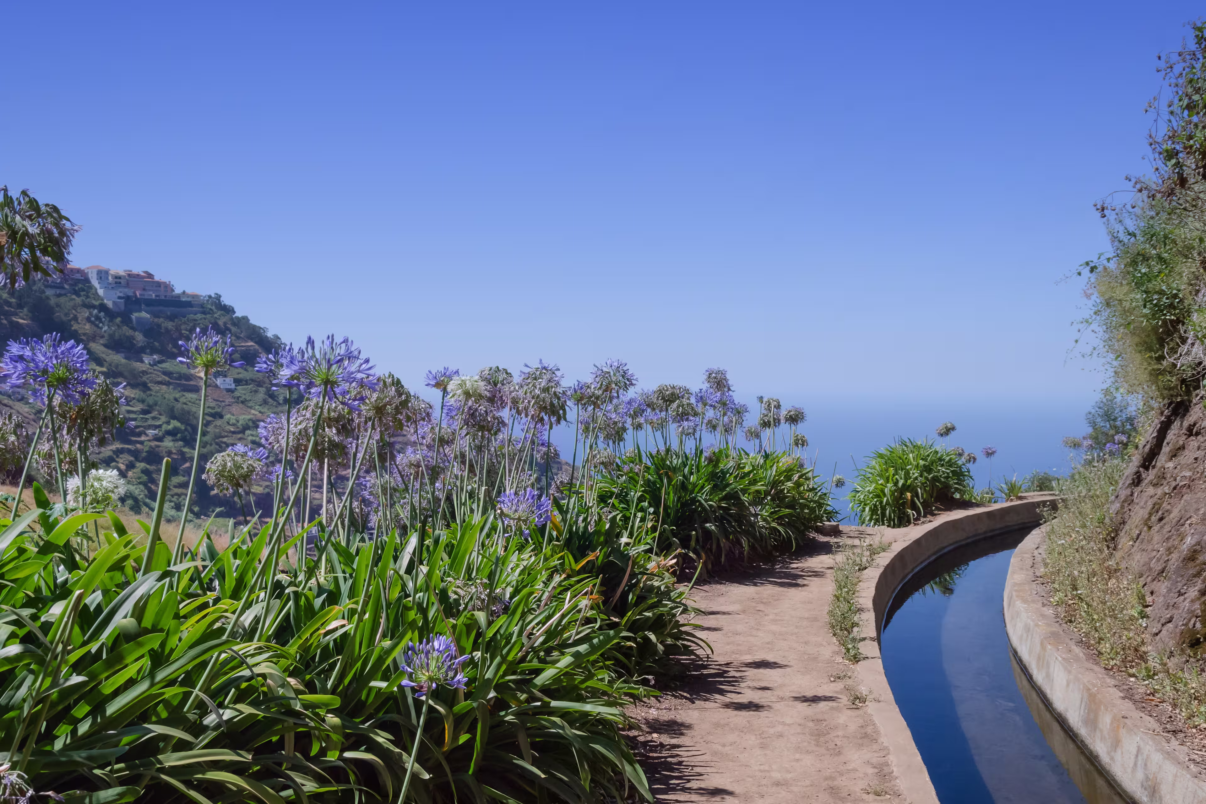 Blumenbestandene Levada auf Madeira
