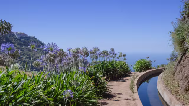 Blumenbestandene Levada auf Madeira