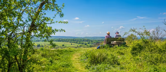 Surrey Hills