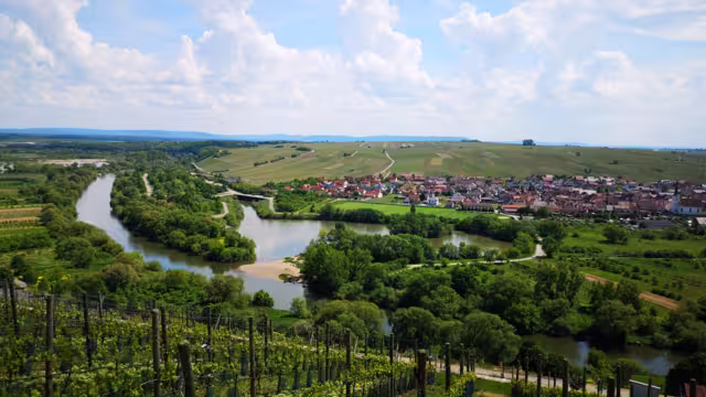 Mainschleife in Germany, view from castle Vogelsberg near Volkach onto the river Main and the beautiful wine area