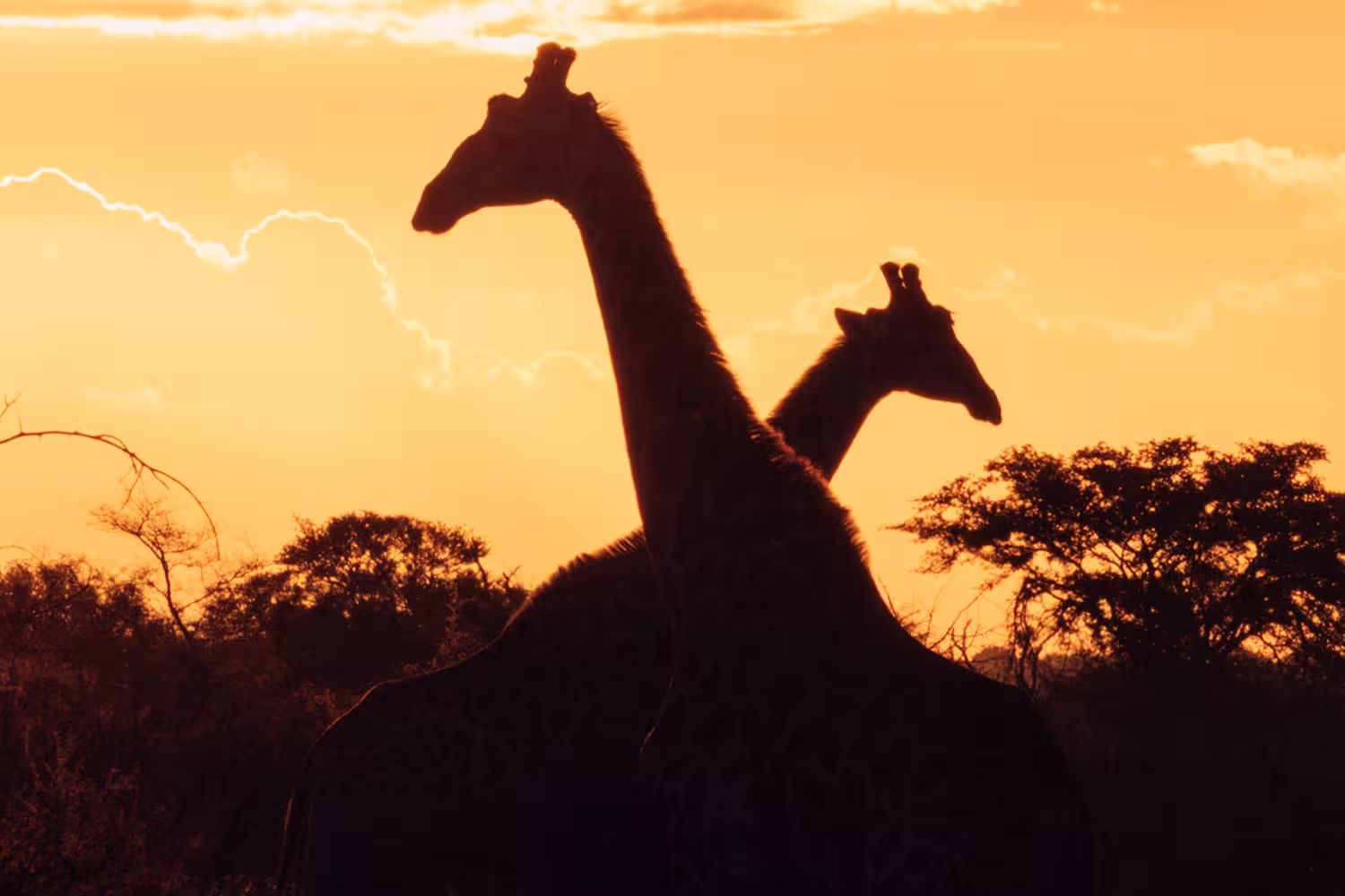 Experience Southern Africa - 1