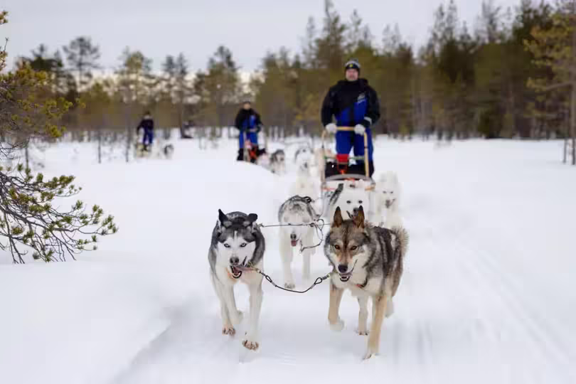 Finnland – Aktive Winterreise am Polarkreis