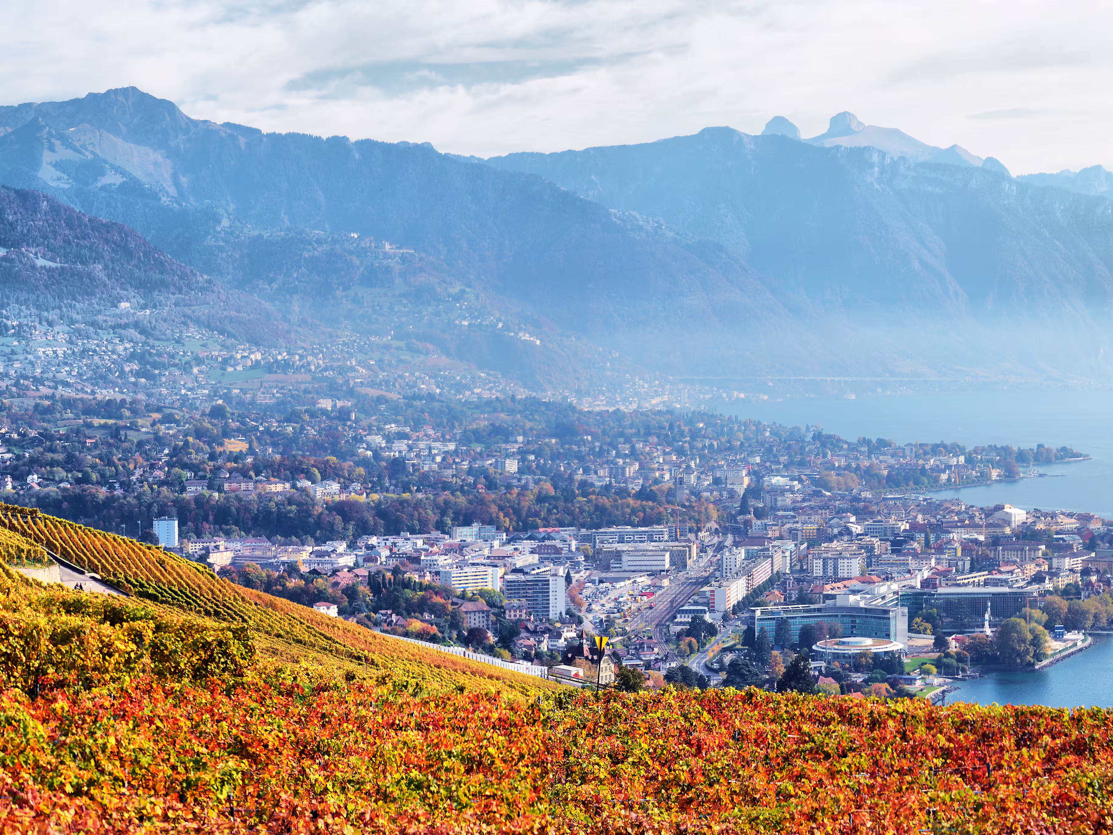 Terrassen des Lavaux am Genfersee