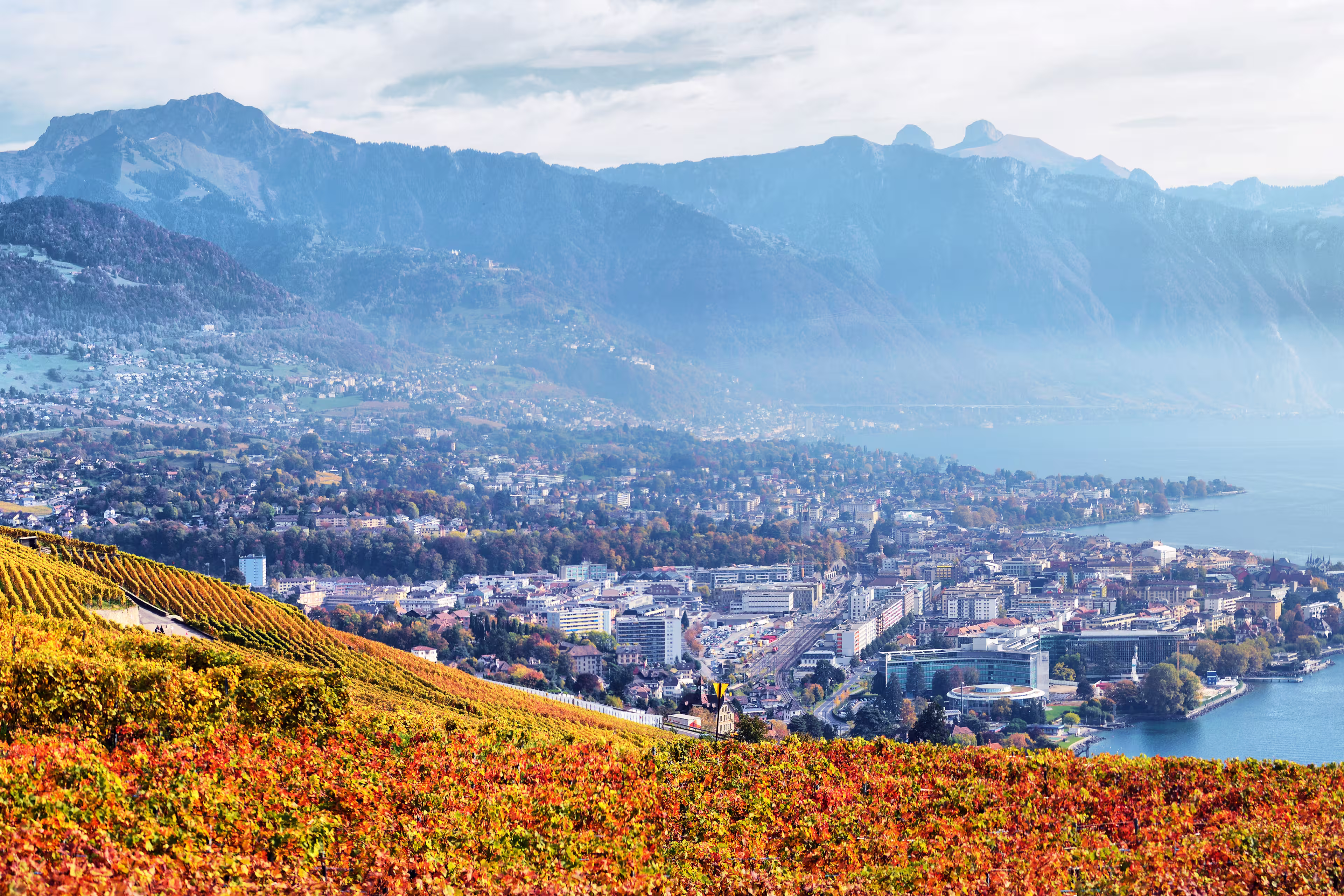 Terrassen des Lavaux am Genfersee