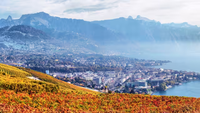 Terrassen des Lavaux am Genfersee