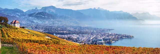 Terrassen des Lavaux am Genfersee