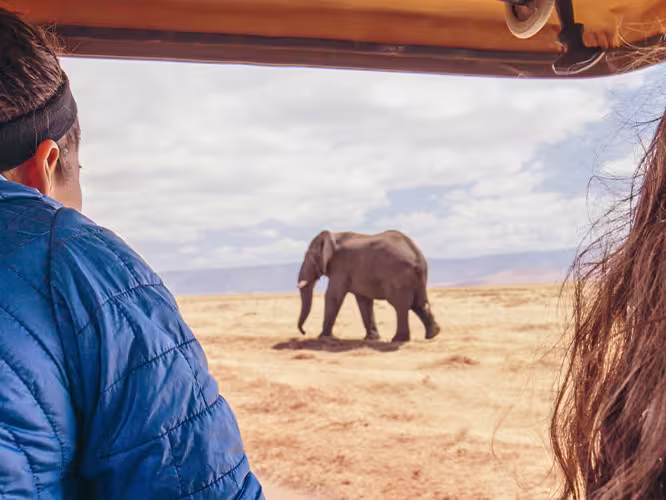 YGPT - Pax elephant watching while on safari in Serengeti NP