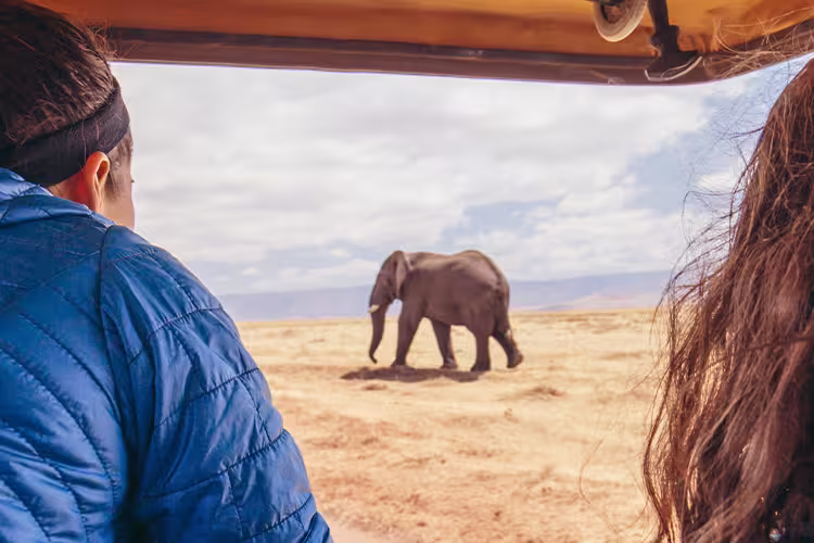 Premium Tanzania - 1