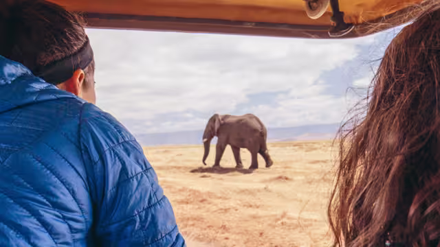 YGPT - Pax elephant watching while on safari in Serengeti NP