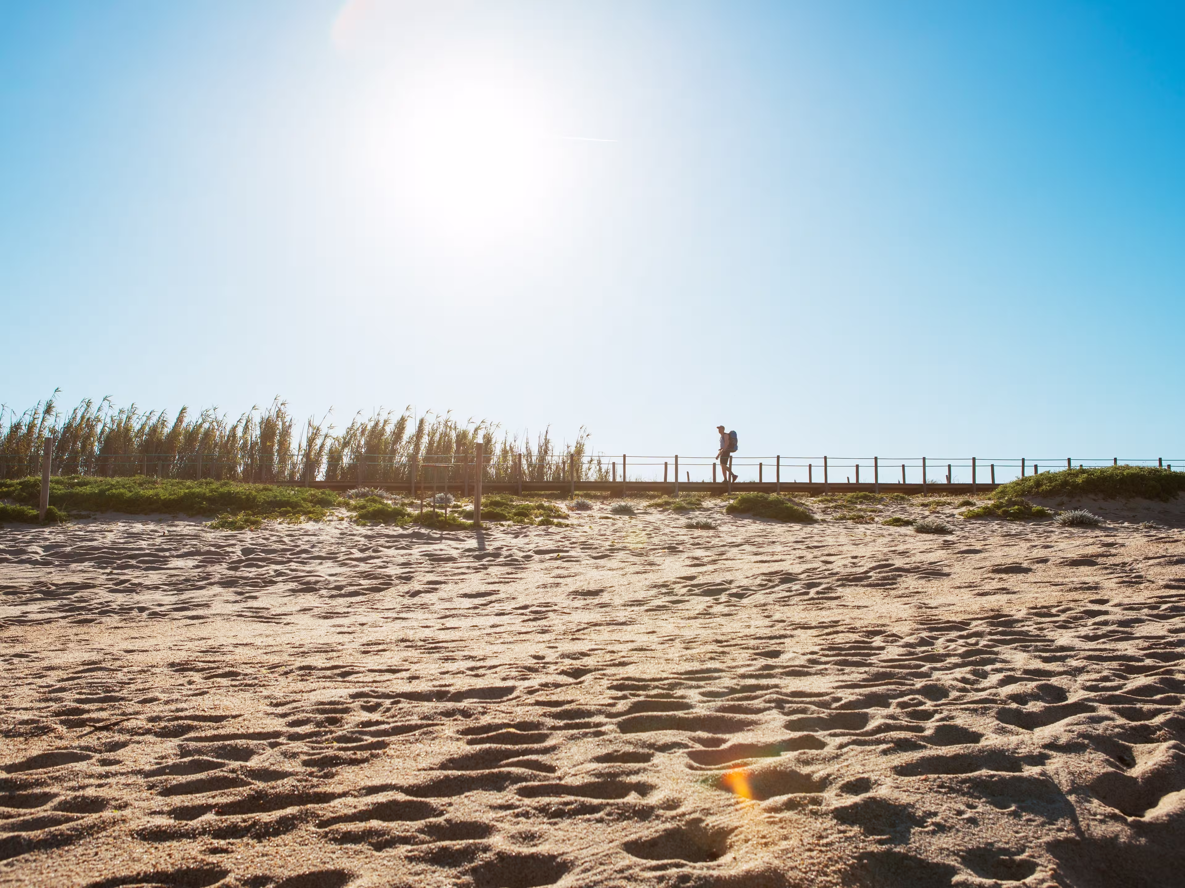 Lonely backpacker man walking by sandy Portugese beach in morning. Path leading by wooden passadicos  - boardwalks along the ocean coast. Shot during the Camino Portuguese —  popular pilgrimage route