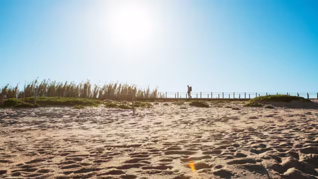 Lonely backpacker man walking by sandy Portugese beach in morning. Path leading by wooden passadicos  - boardwalks along the ocean coast. Shot during the Camino Portuguese —  popular pilgrimage route
