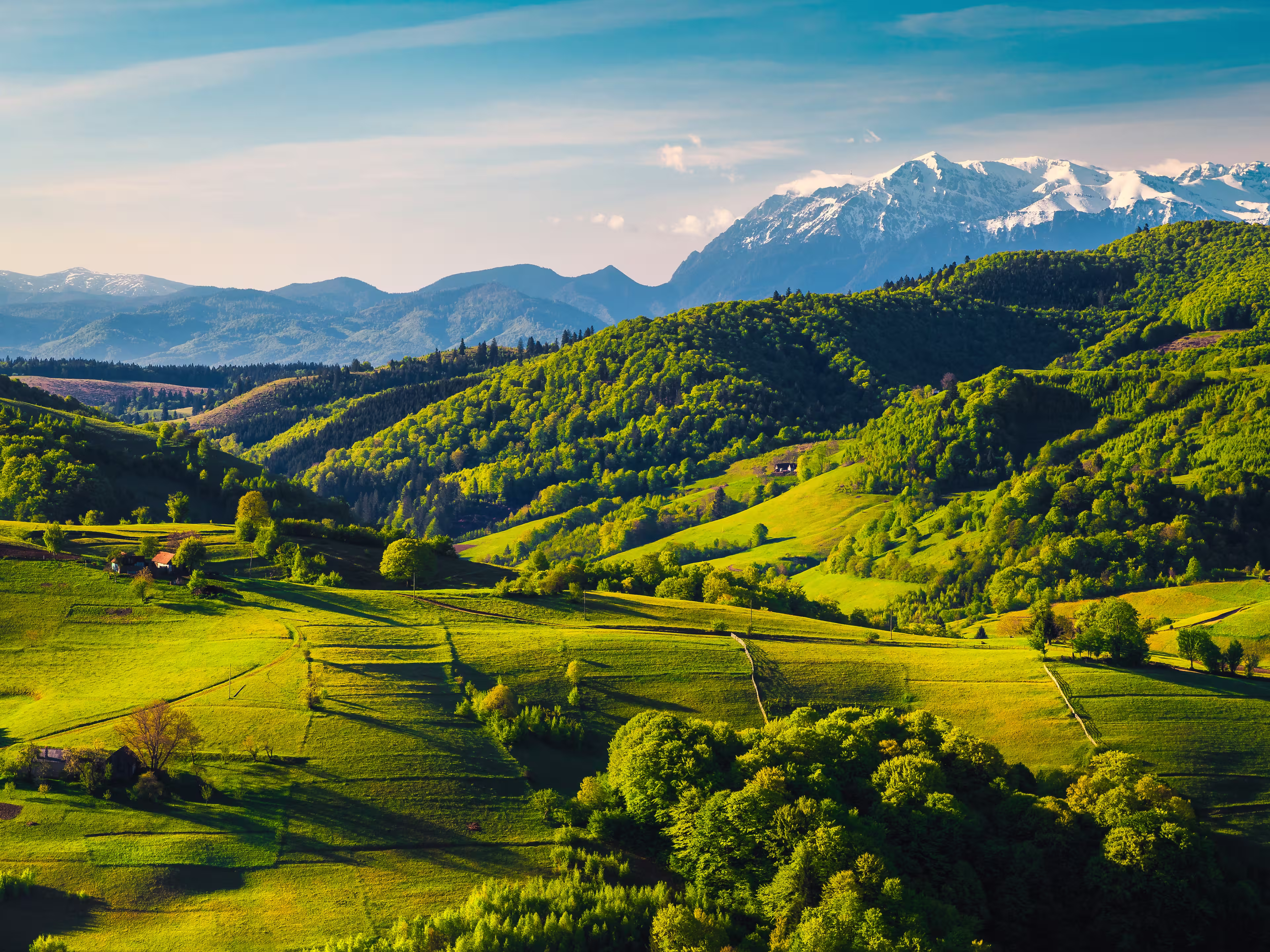 Atemberaubende Landschaft im Frühling mit grünen Feldern auf Hügeln und hohen schneebedeckten Bergen im Hintergrund, Dorf Holbav, Siebenbürgen, Rumänien, Europa
