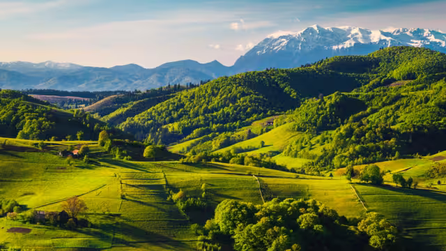 Atemberaubende Landschaft im Frühling mit grünen Feldern auf Hügeln und hohen schneebedeckten Bergen im Hintergrund, Dorf Holbav, Siebenbürgen, Rumänien, Europa