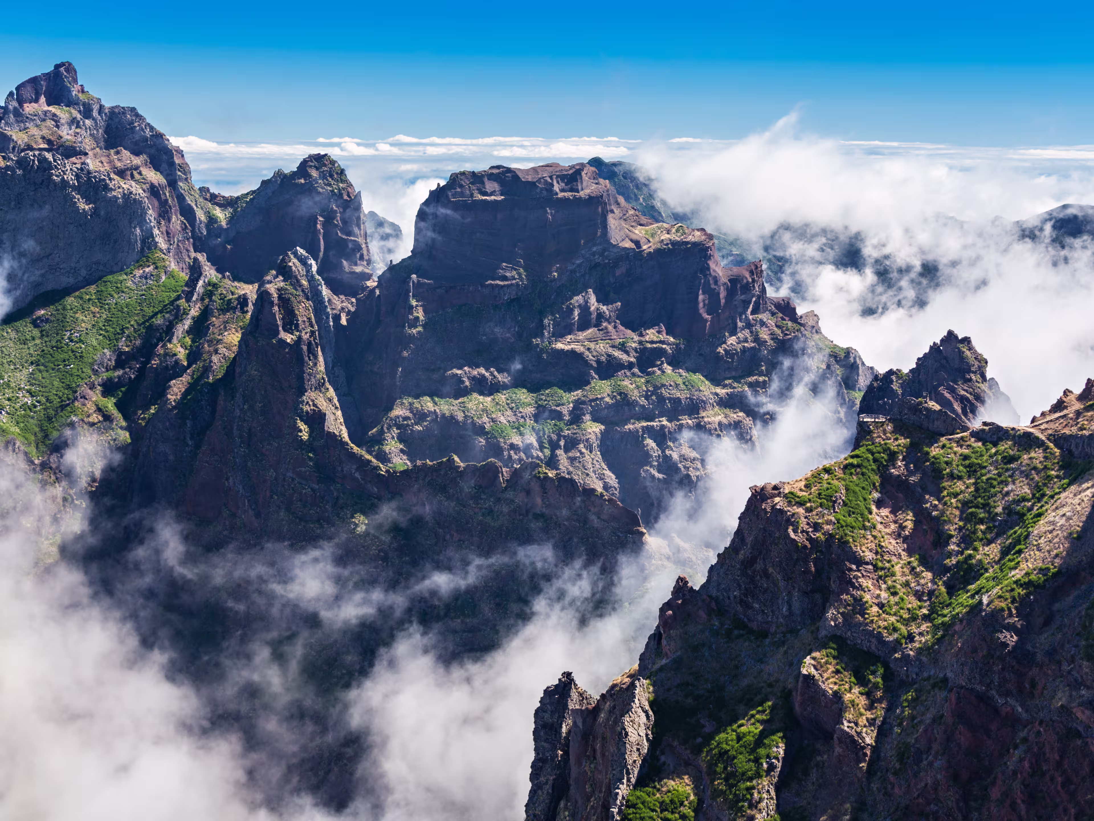 Picos da Madeira