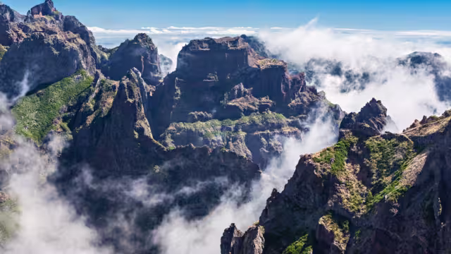 Picos da Madeira