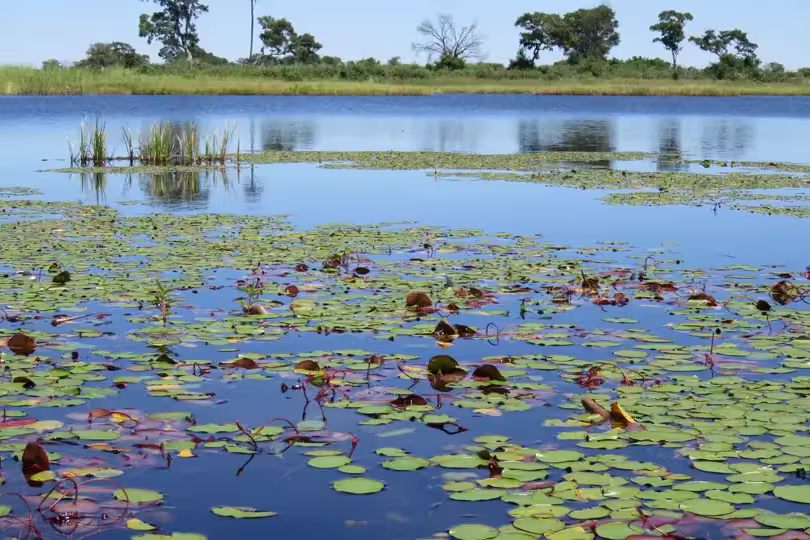 Botswana mit Egmont Strigl – Das grüne Herz der Kalahari