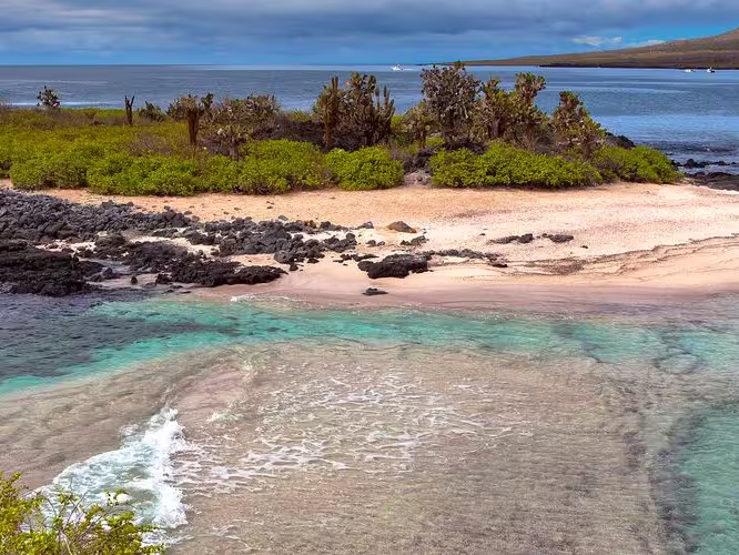 GMQB_ecuador_floreana_island_galapagos