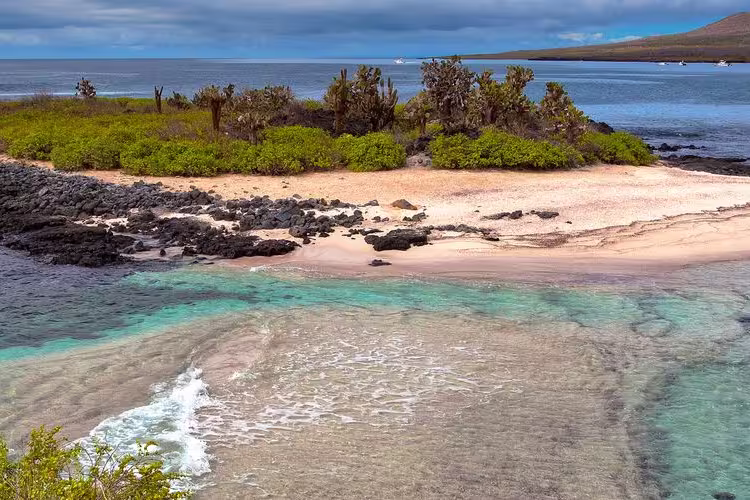 Galapagos at a Glance: Southern Islands (Grand Daphne) - 1