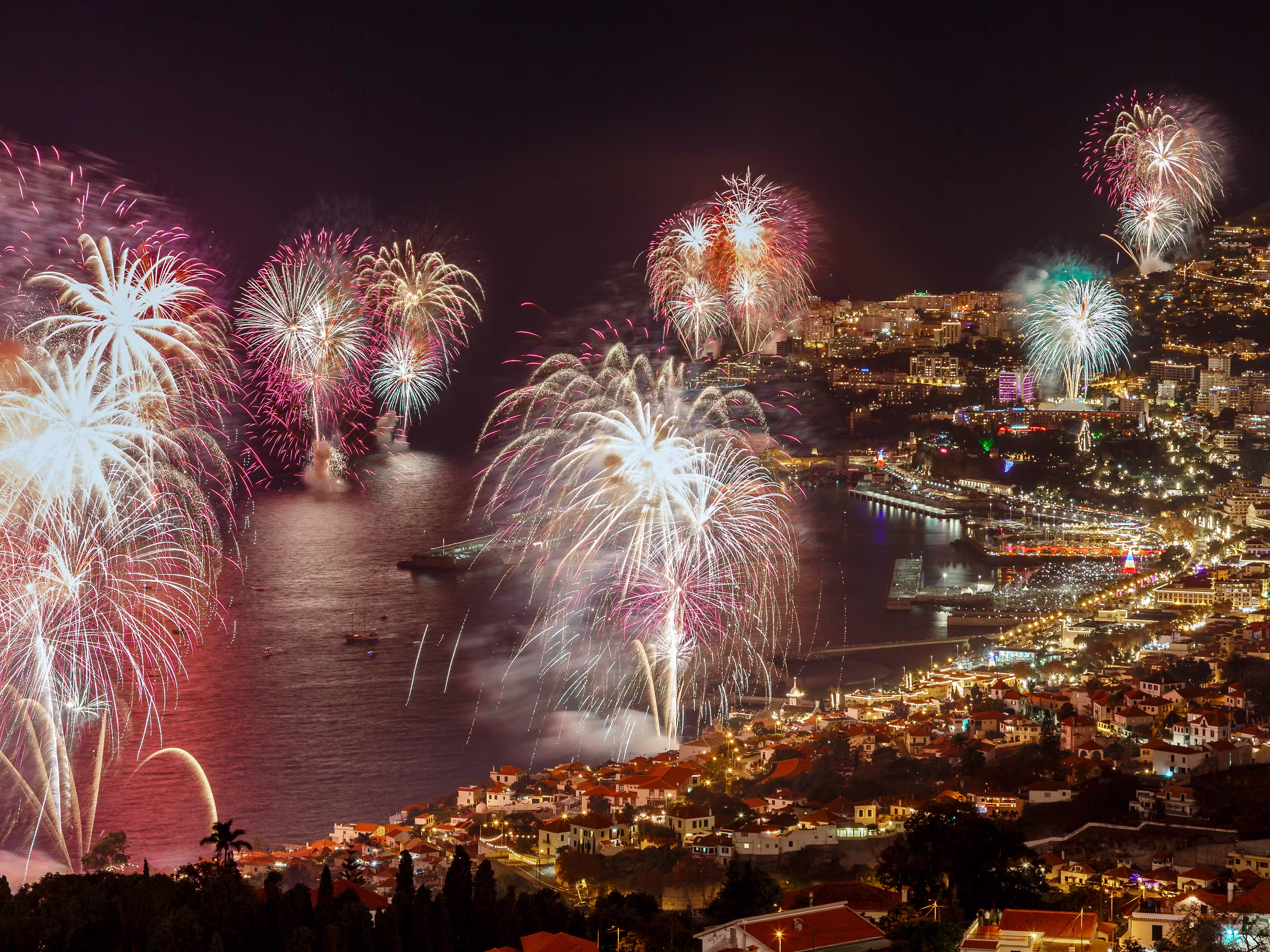 Firework in shades of red